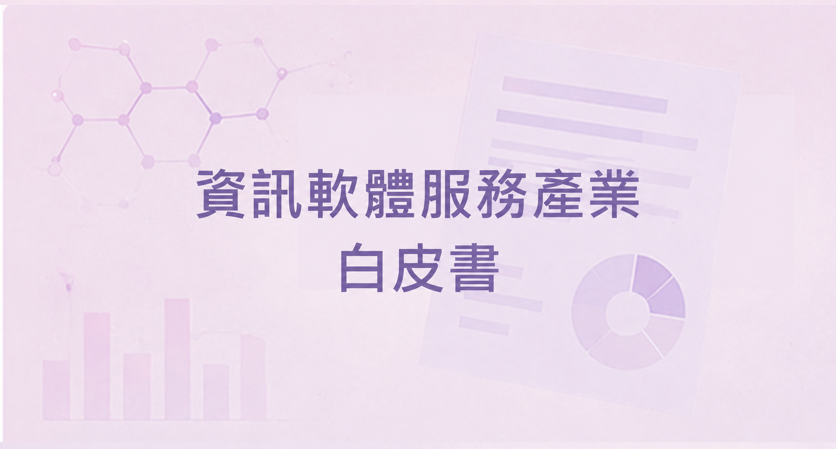 資訊軟體服務產業白皮書